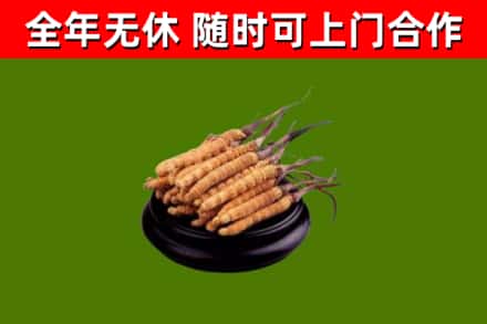夏县烟酒回收冬虫夏草.jpg